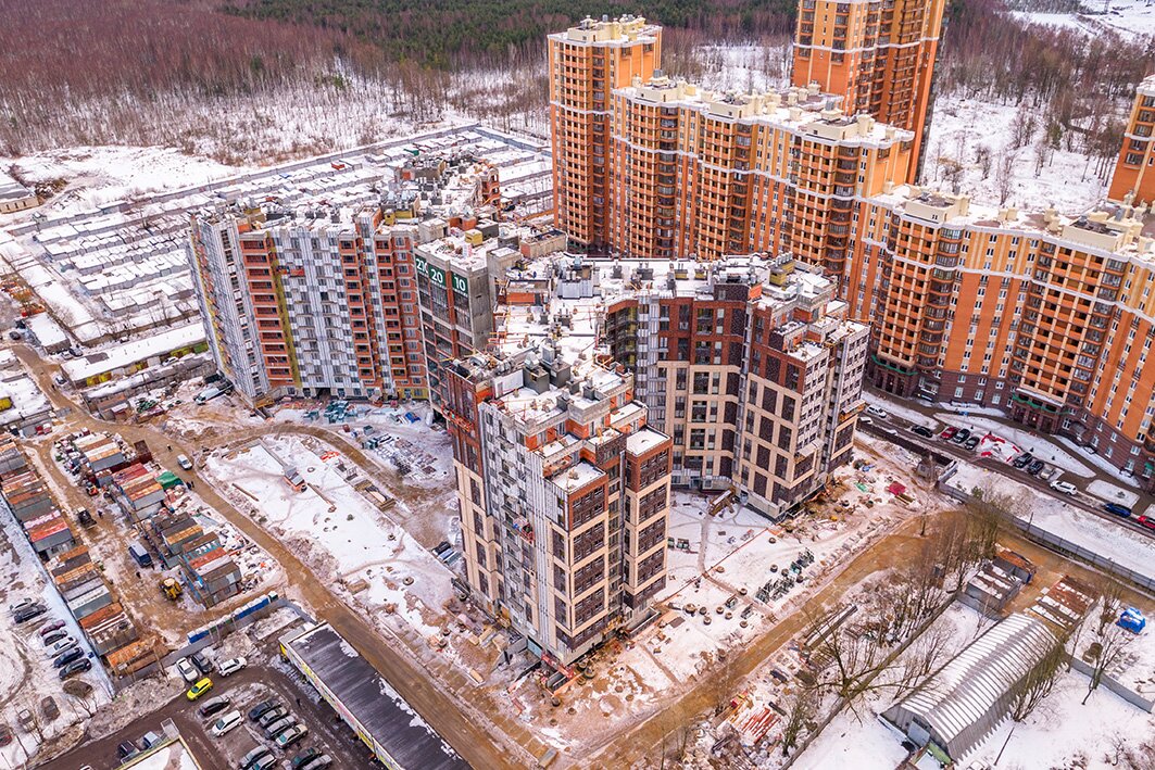 Листва Декабрь 2022 - 7