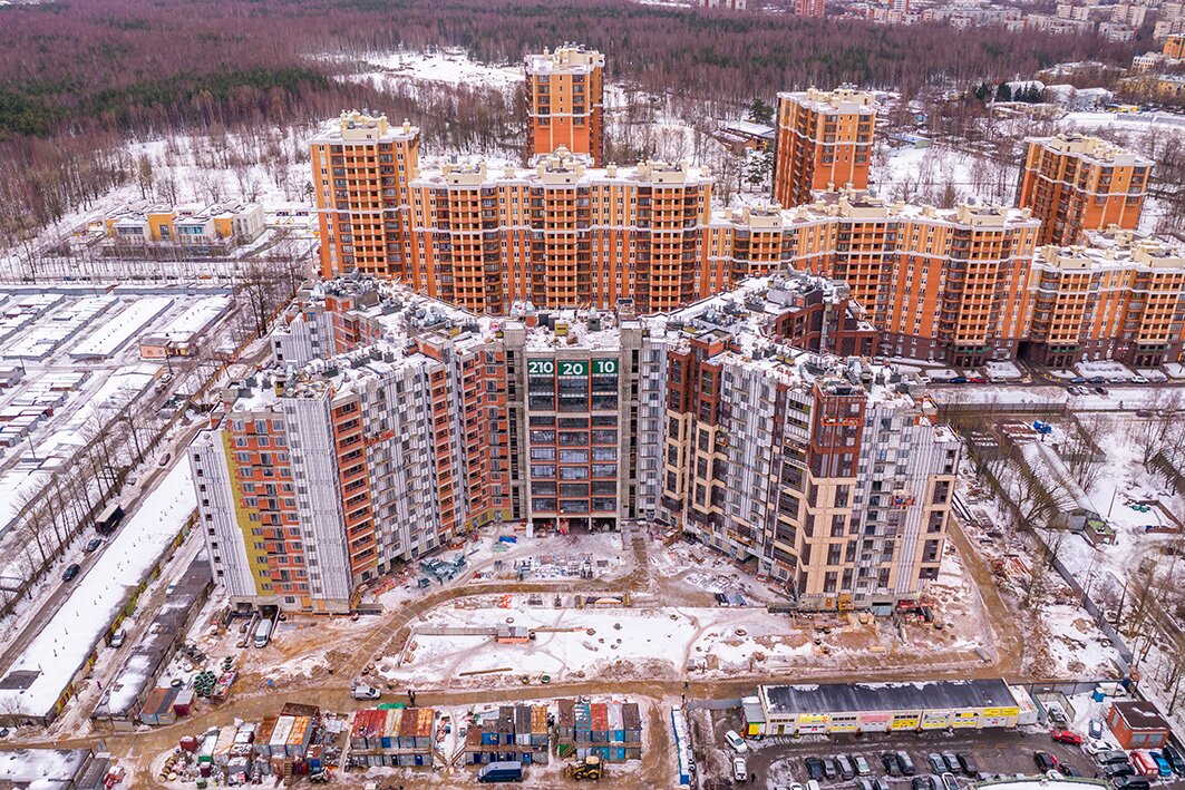 Листва Декабрь 2022 - 6