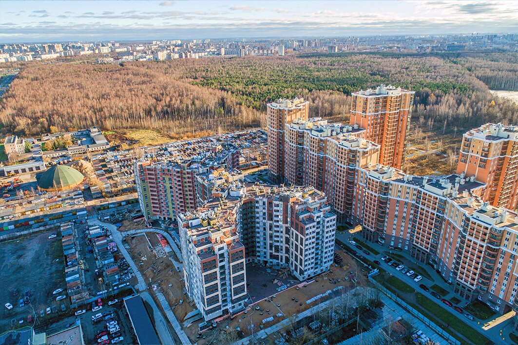 Листва Ноябрь 2022 - 1