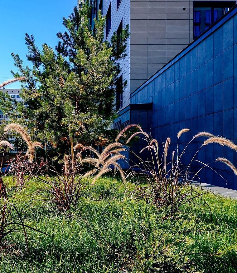 Безопасные дворы